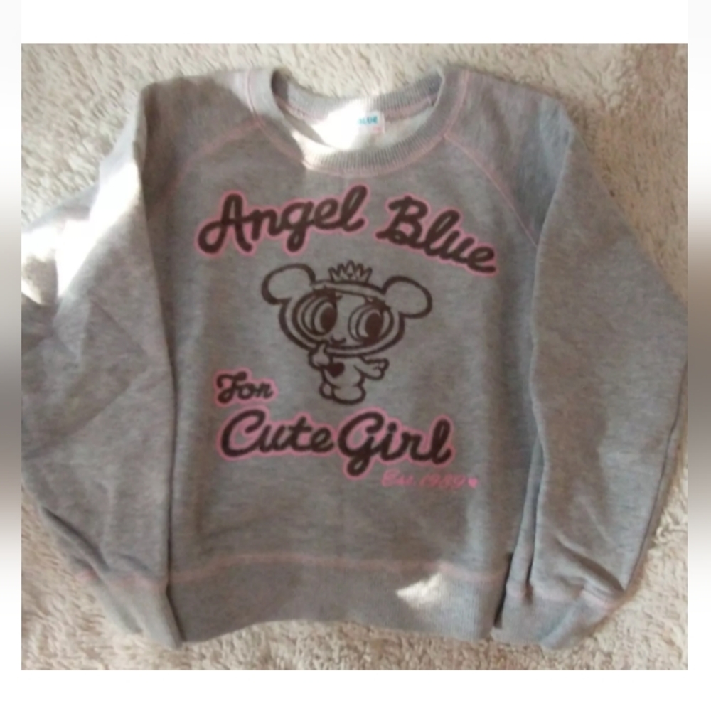 Gray And Pink Angel Blue Sweater, Size 120cm